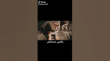 من امتي كان الاسد حالات واتس 
