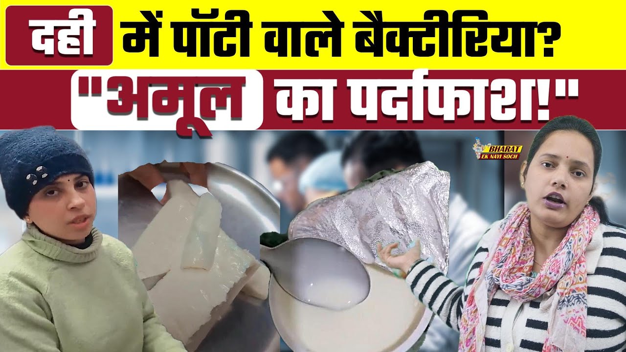 Amul Dahi Viral Video: अमूल दही में मिला मल?लब रिपोर्ट देख उड़ जाएंगे होश!, Voice of pallavi