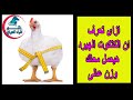 ازاى تعرف ان الكتكوت الهبرد هيعمل معاك وزن عالى خاصة بعد عمر الأسبوع الثالث