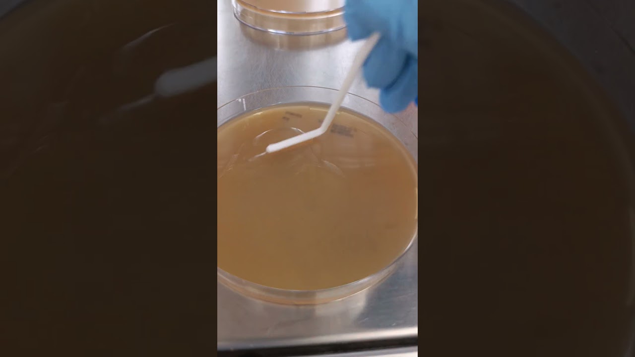 Work in lab 👩‍🔬! 