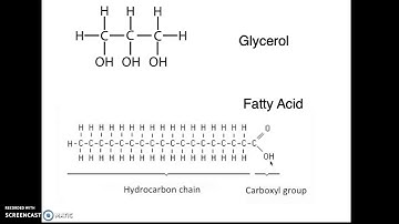 Bio 5_Module 2 _ Membrane Dynamics 1