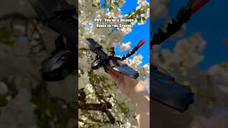 POV: You're a LEGO Dragon Rider in the Spring 🌸