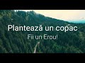 Plantează un copac, fii un erou!