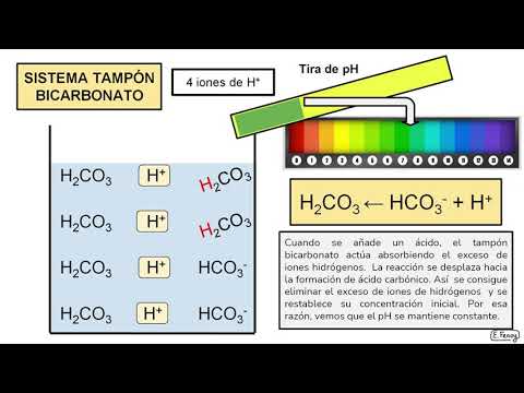 Video: ¿Cómo se hace un tampón de bicarbonato de carbonato?