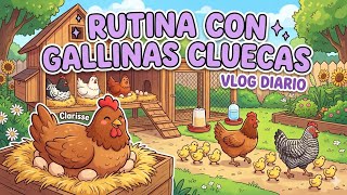 🛑 CLARISSE está CLUECA 😱 Mi rutina con 4 GALLINAS CLUECAS y 2 GALLINAS con POLLITOS 😅