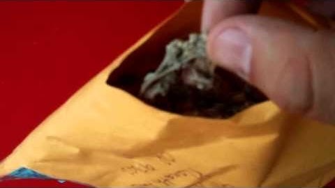 Cat nip package from Davidsfarm, 2010!