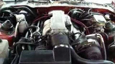 My 1987 Firebird Formula