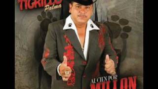 Video thumbnail of "el guero pesado el tigrillo palma"