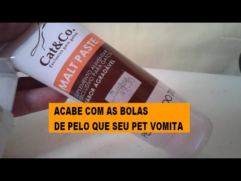 Vídeo: Com Alimentar Un Gat Amb L’estómac Malalt