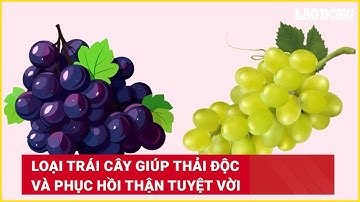 Loại trái cây giúp thải độc và phục hồi thận tuyệt vời | Báo Lao Động