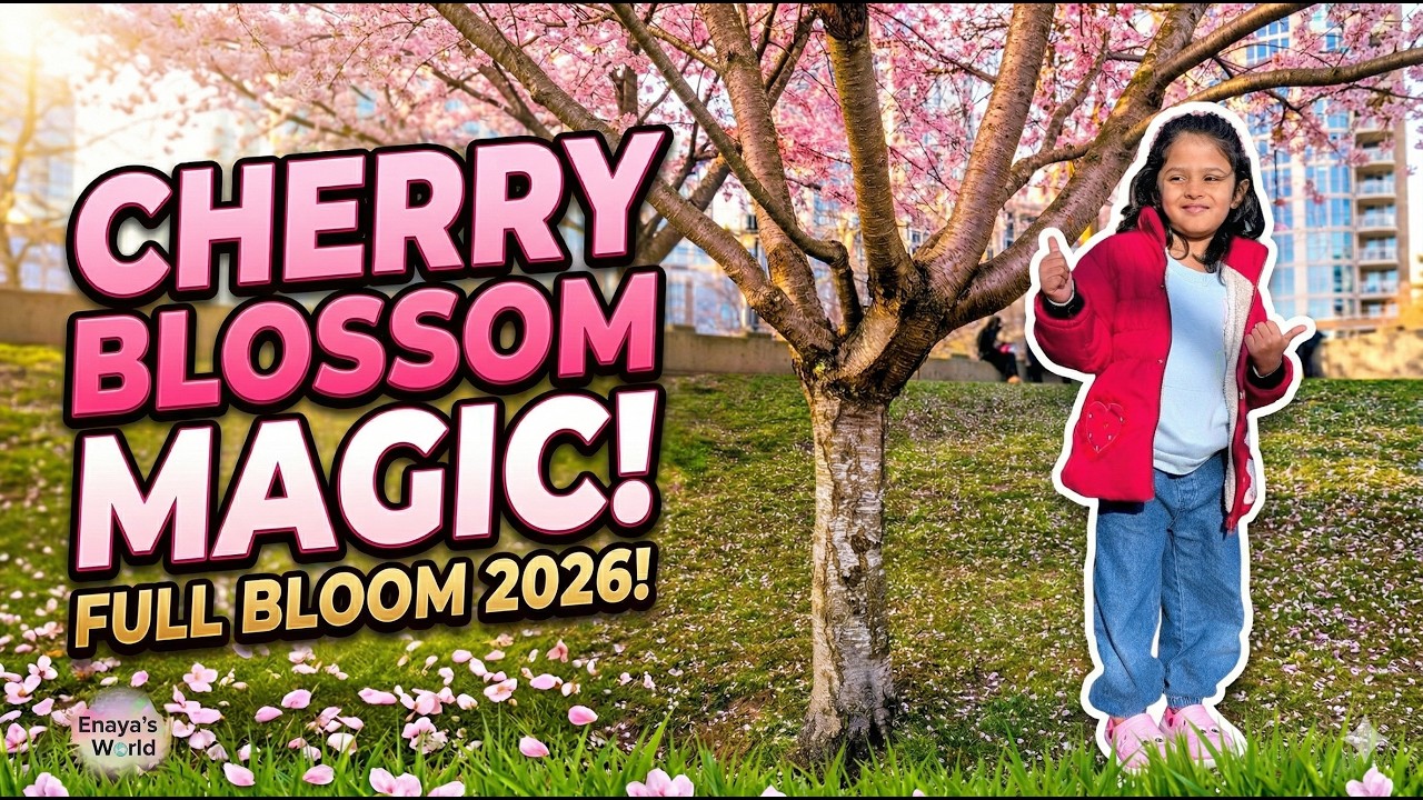 Vancouver Cherry Blossom Festival 2026 🌸 The Big Picnic at David Lam ...