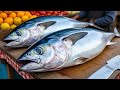 Everyday of My Life ❗🔥 Exploring Sorong Fish Market live broadcast of yellowfin tuna cutting