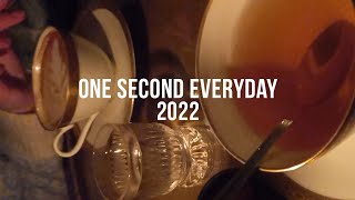 One Second Everyday 2022 | Sofía Añón
