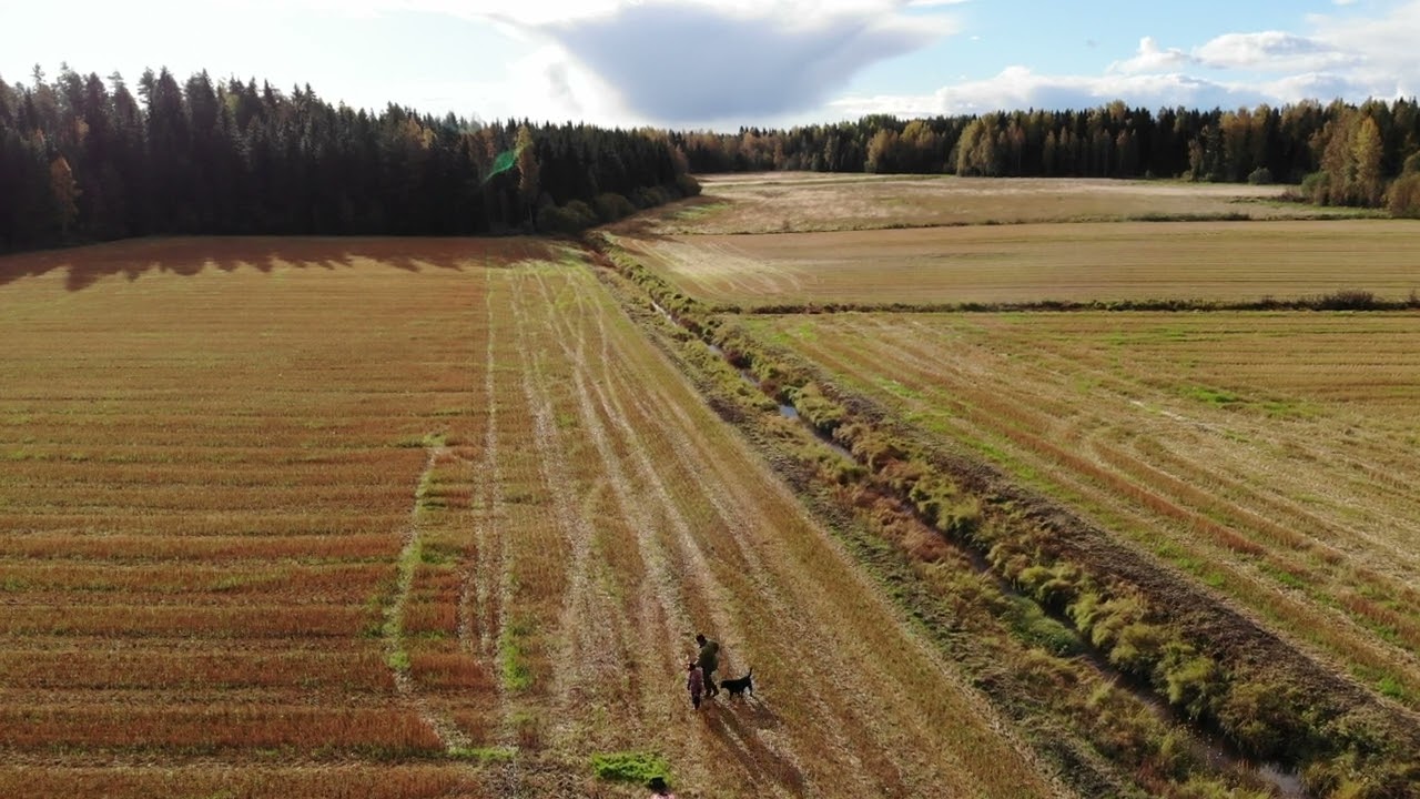 Kaivoin dronen naftaliinista!