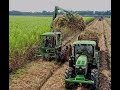 Loading and Cutting Seed Sugarcane in Louisiana.