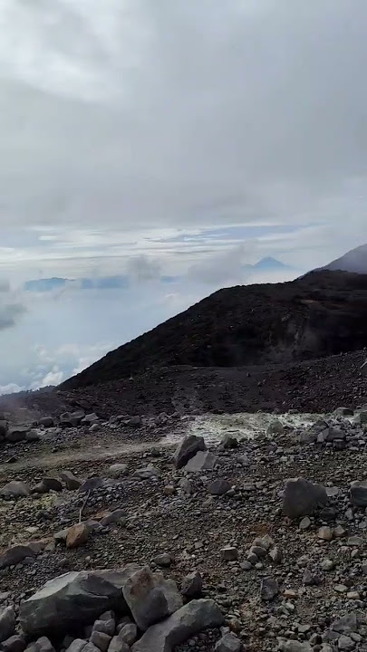Gunung welirang dengan belerangnya✨#mountains#gunungwelirang#gunungarjuno#gunungindonesia#fyp#shorts
