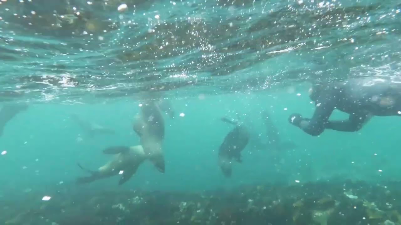 "Unveiling Caja de Muertos: Discovering the Natural Wonders of Puerto Rico's Coffin Island" #travel