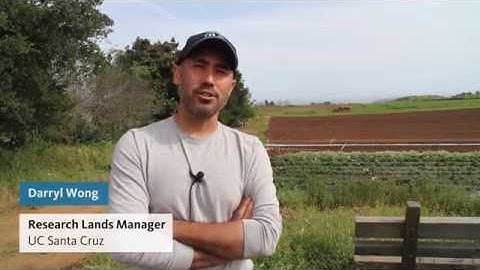 UC People: Darryl Wong, Santa Cruz