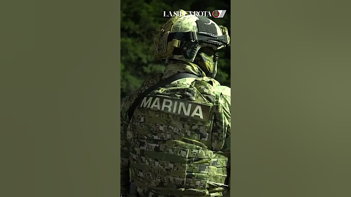 Operativo contra huachicoleros: 32 detenidos y animales exóticos asegurados