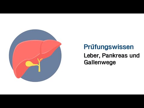Mündliche Prüfungsfragen - Leber, Pankreas und Gallenwege