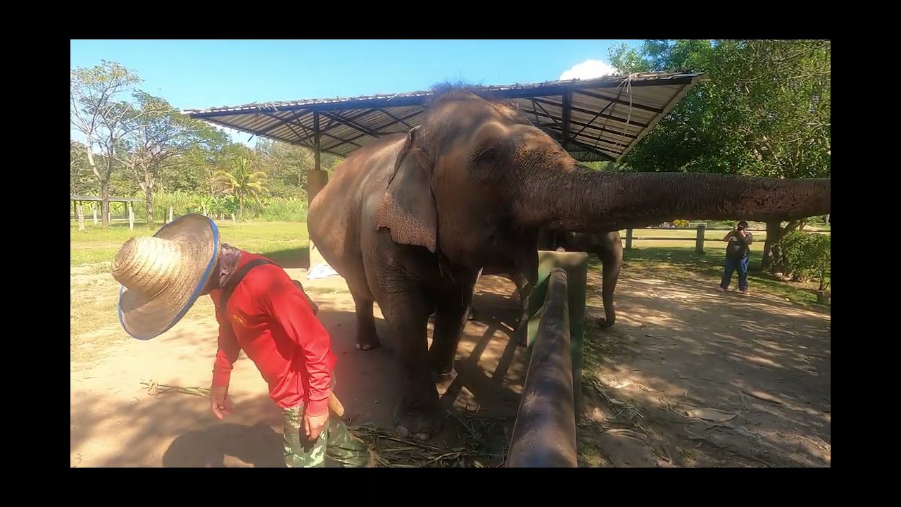 Kanta Elephant Sanctuary