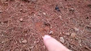 Follow up to Bigfoot vs Forest Fires/Opening day 2017