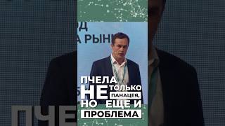 Чем Шмель Лучше Пчелы? Точка Зрения Практикующего Фермера Ринальдо Маллямова