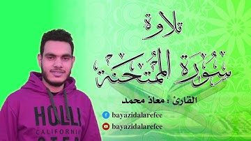 سورة الممتحنة ( كاملة ) | القارئ : معاذ محمد | Surah Almumtahina