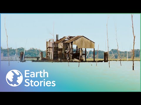 LOUISIANA'S BAYOU WILL SOON BE UNDERWATER | THE DISAPPEARING DELTA
