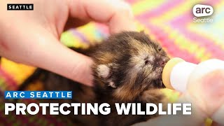 Millions raised to help PAWS protect wildlife across the Pacific Northwest