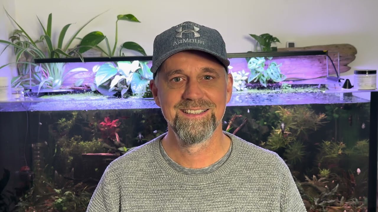 Amazonas to go: Eheim incpiria 430 Fazit nach 8 Monaten 