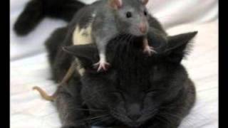 Dont Think I Dont Think About It - Darius Rucker Lyrics