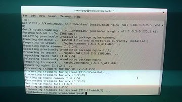 install nginx on linux debian server