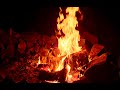 Soothing campfire crackling accompanied by relaxing music