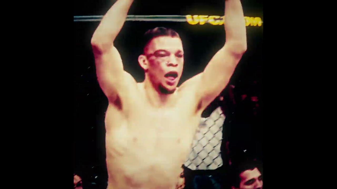 Nick and Nate Diaz edit