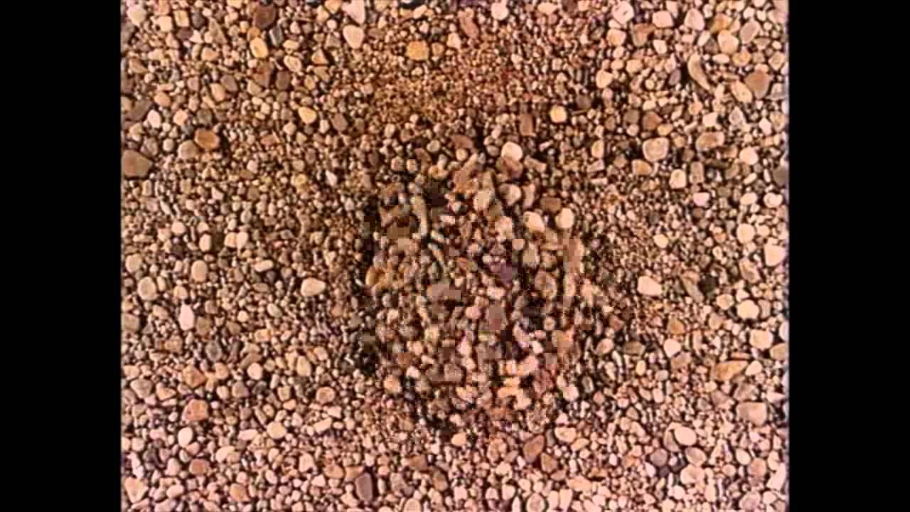 Vnight's 028 Guest Martin Bellomo