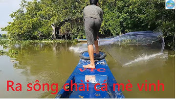 257 | Ra sông thả mồi chài cá mè vinh | Fishing