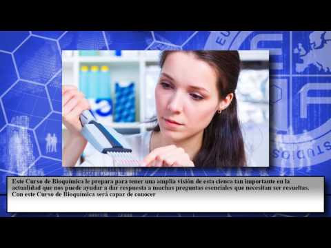 Cursos Youtube Online Euroinnova Cursos Youtube Online Euroinnova