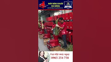 ✅Máy băm chuối mịn Bình Phươc l Máy băm chuối mịn mịn l Máy băm cây chuối, băm rau bèo cho gà, vịt