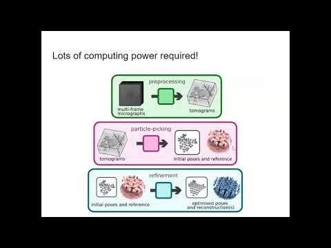 Minute Biophysics - Cryo-Electron Tomography (Cryo-E.T.), Tiffany