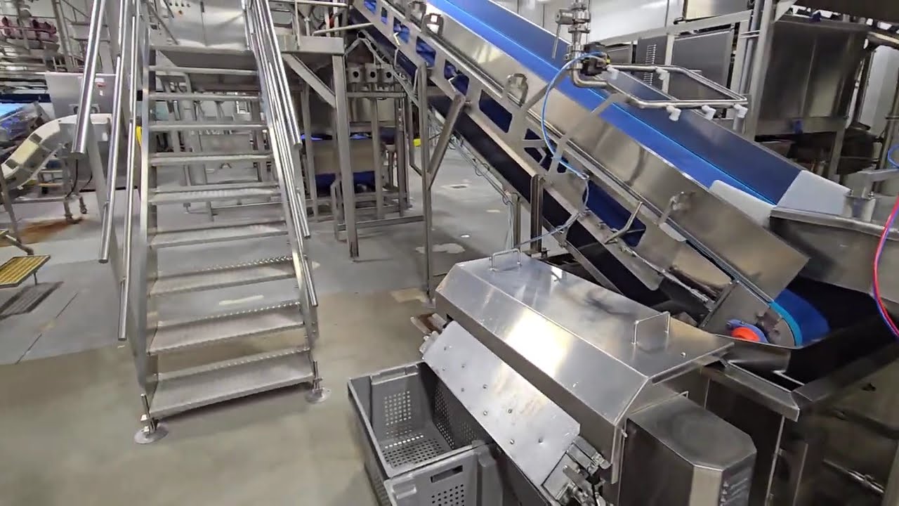 Sneak Peak Salad Express - Cabbage Coring Processing & Packaging Line Available for sale by Auction