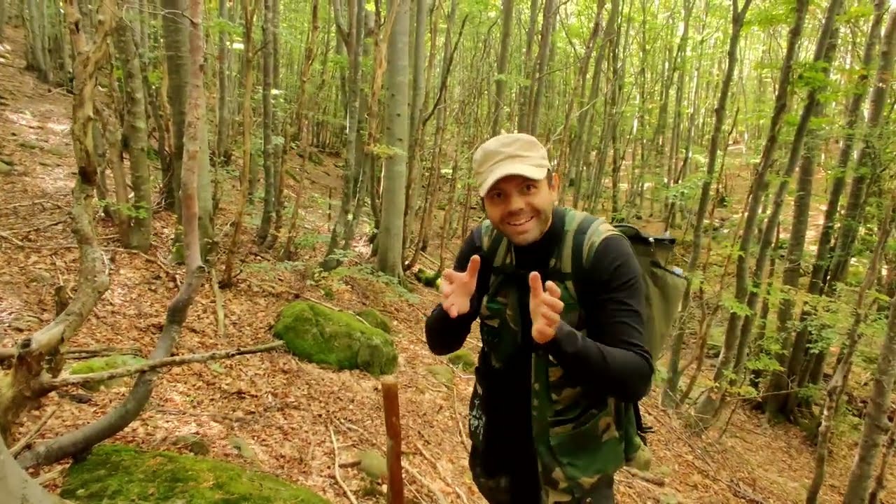 FUNGHI PORCINI SETTEMBRE 2025 -  Ecco cosa si trova 3 giorni dopo una grande BUTTATA. BOLETUS EDULIS