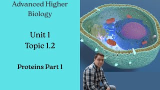 Advanced Higher Biology: 1.2 Proteins Part 1 - Full Lesson