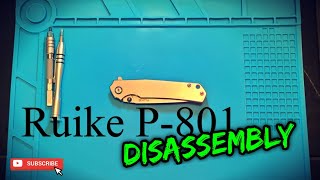 Ruike P-801 Disassembly