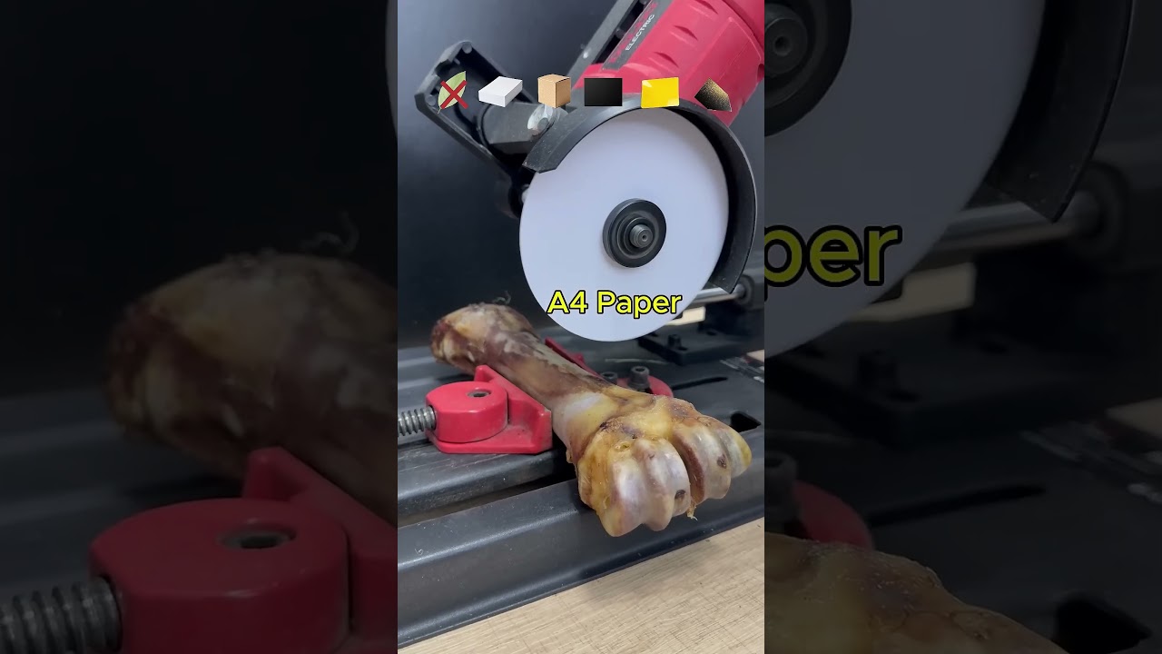 Which one can cut beef bone?