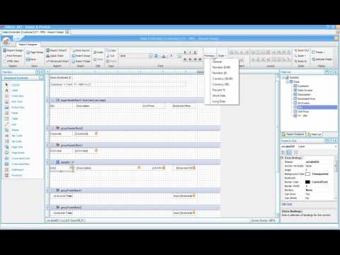 DBxtra  Report Basics