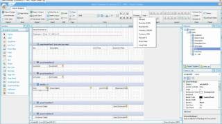 DBxtra  Report Basics
