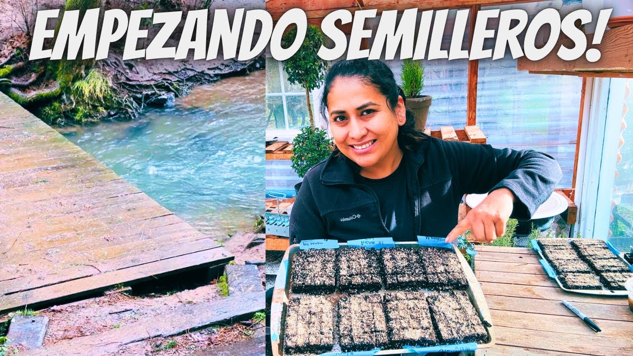 Les comparto un poco de mis mañanas/ empezando semilleros de flores 