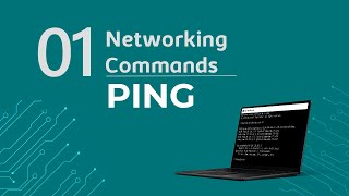 Ep1. PING - 11 Comandos de rede que todo profissional de TI precisa conhecer