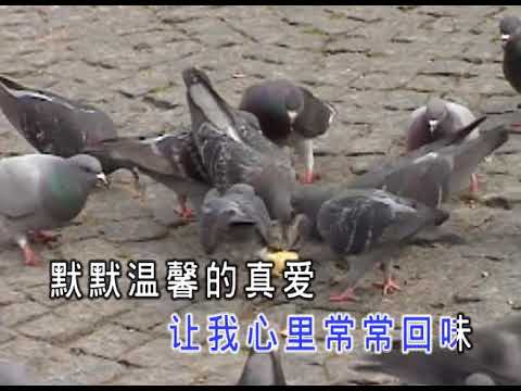0603我爱上了英雄
